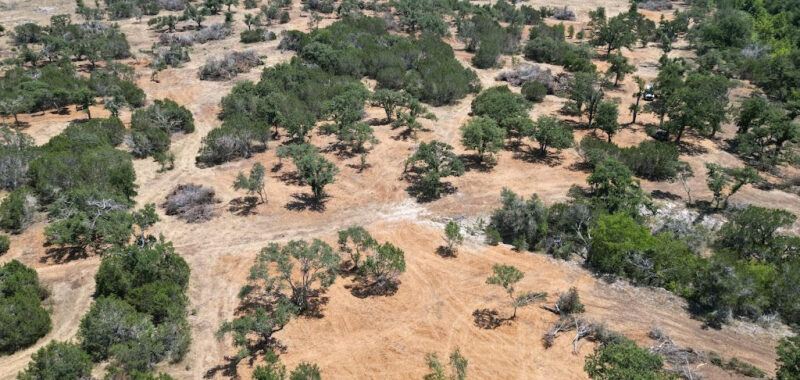 Shuffled Land Clearing: Your Premier Choice for Land Clearing and Dirt Work Services in Central Texas