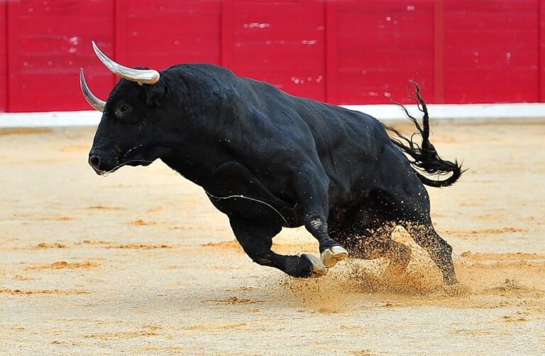 bitcoin bull run on etf news