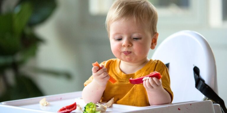 baby eating solid foods starting solids flavor window