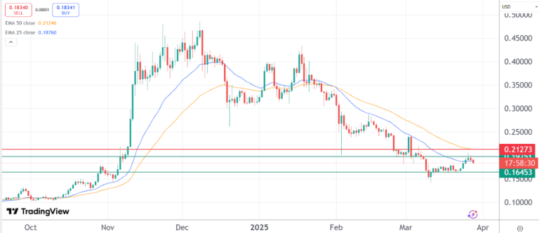 Dogecoin Price 3