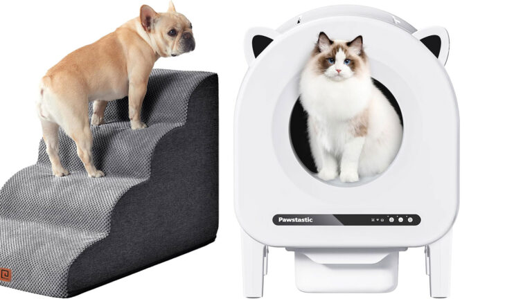 amazon pet day header